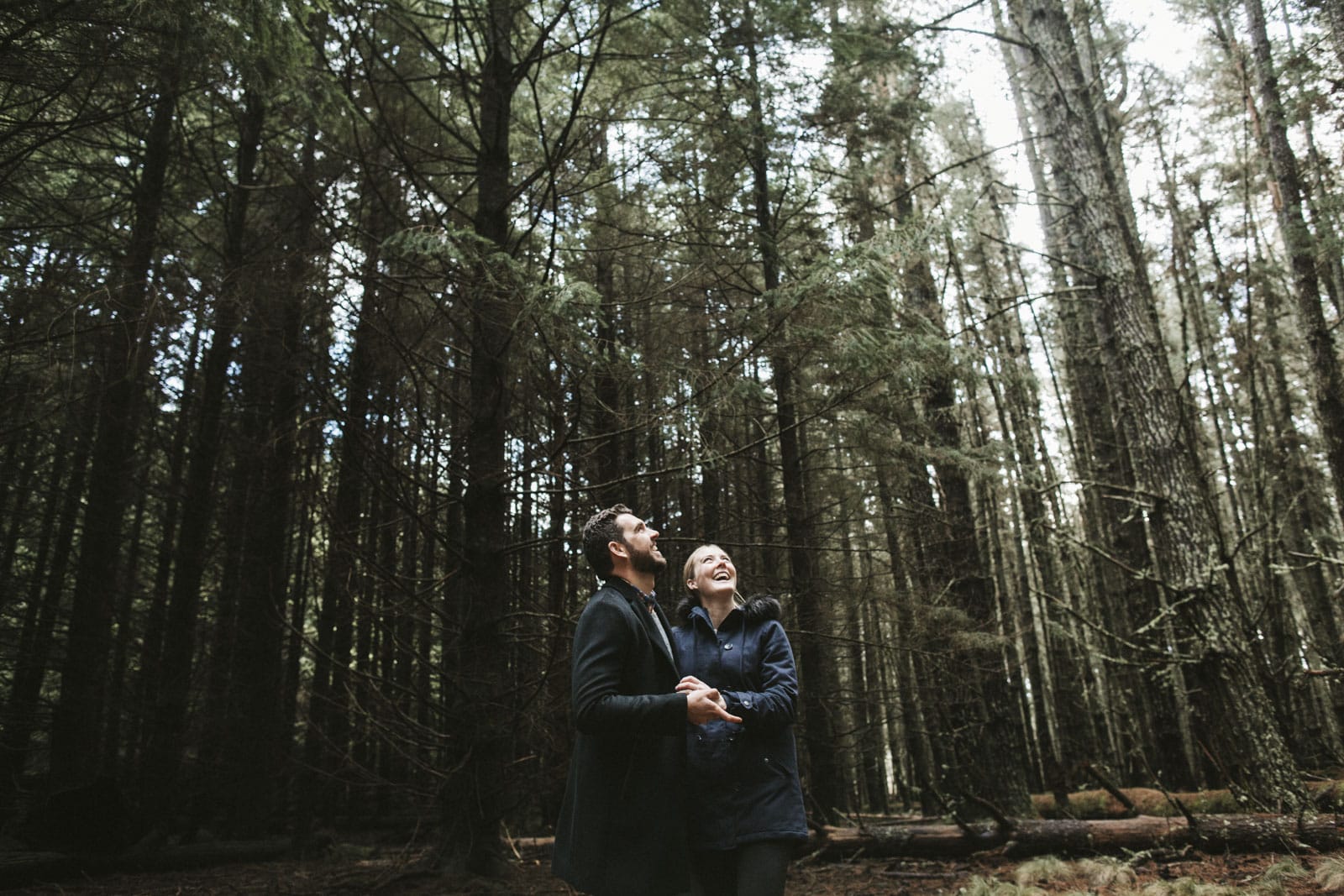 pine forest-Barrington-Tops-engagement-shoot