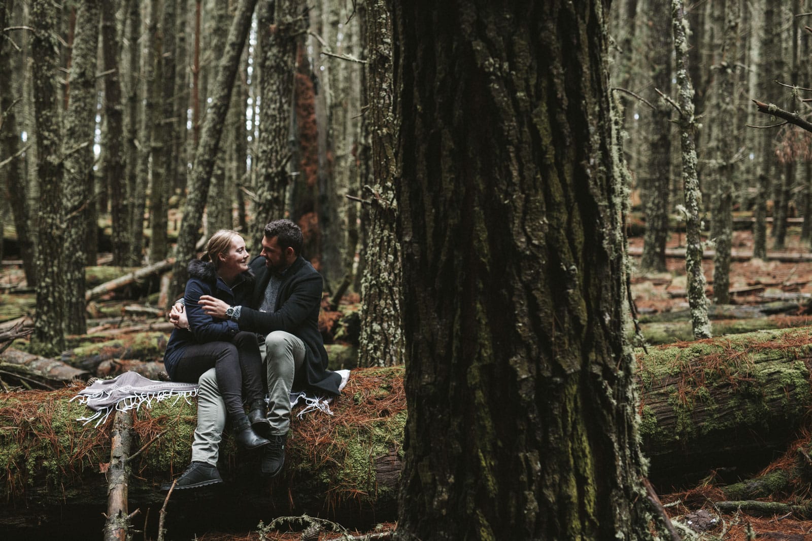 pine forest-Barrington-Tops-engagement-shoot